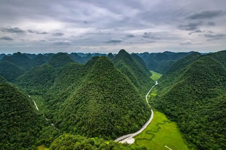 贵州荔波,茂兰喀斯特森林.