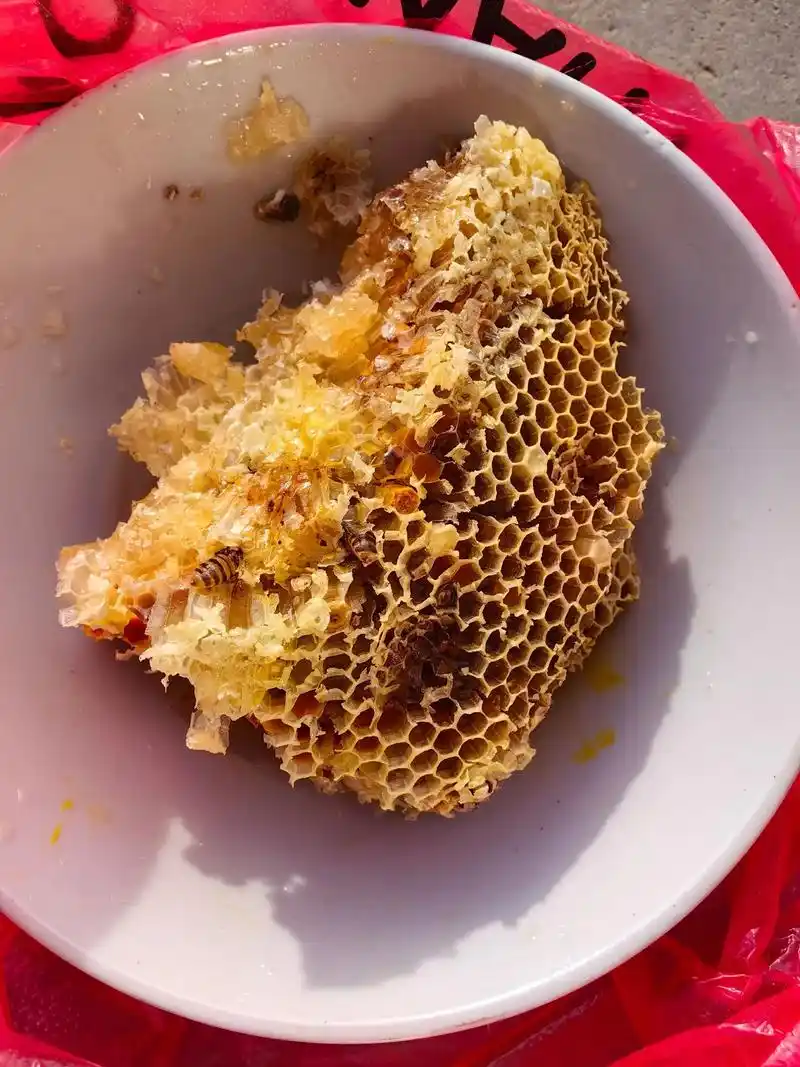 还是野生蜂蜜味好#正宗蜂巢蜜纯天然