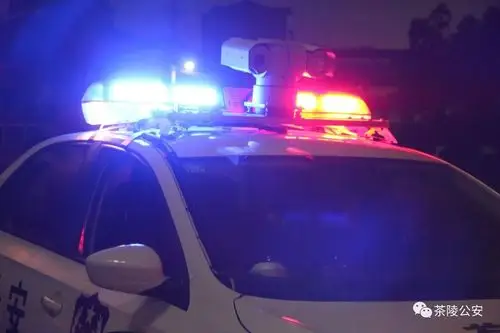 "晚上老远就能看见警灯,散步经常会遇到巡逻警察""不管白天晚上,总能