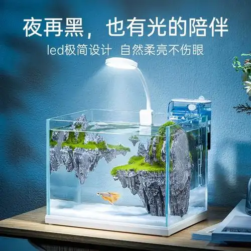 鱼缸客厅小型桌面超白玻璃缸景观造景斗鱼迷你生态水族箱家用