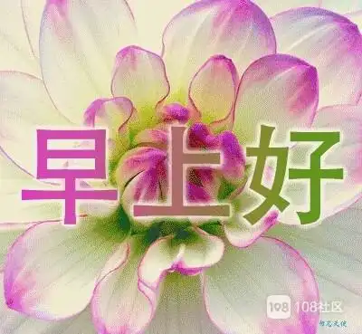 wx~9766759的个人主页_108社区_108sq.com