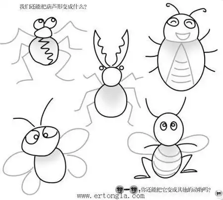 大头黑步甲的简笔画