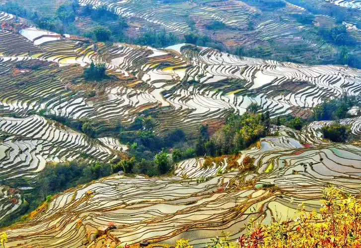 七彩云南一一元阳梯田