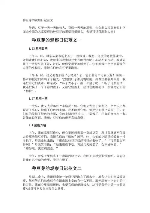 种豆芽的观察日记