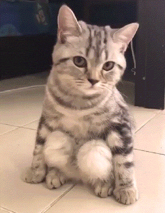 18,看你的表情就知道这东西不好吃,为了拍段子也够可以了!