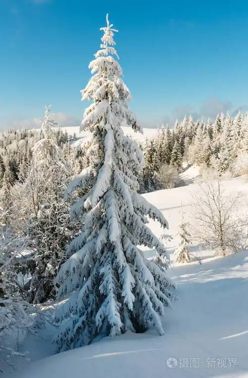 冬天山下雪的风景