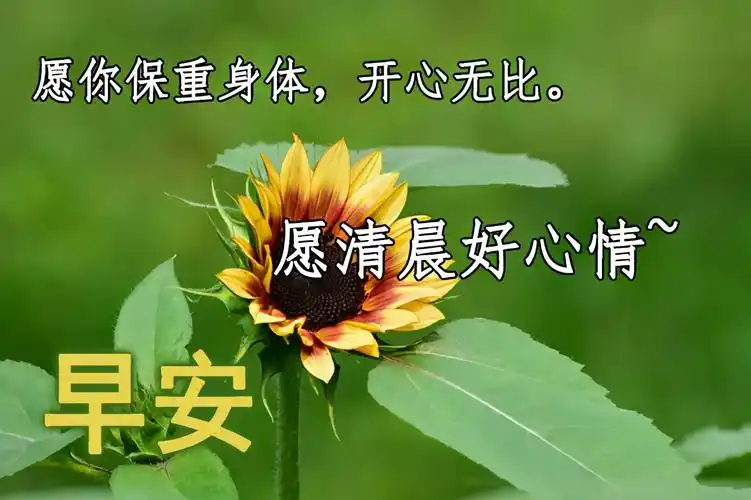 漂亮的早上好图片带字祝福语,早晨起来心情说说