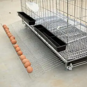 斗鸡笼子家用
