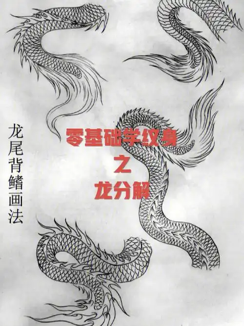 零基础学纹身之龙分解