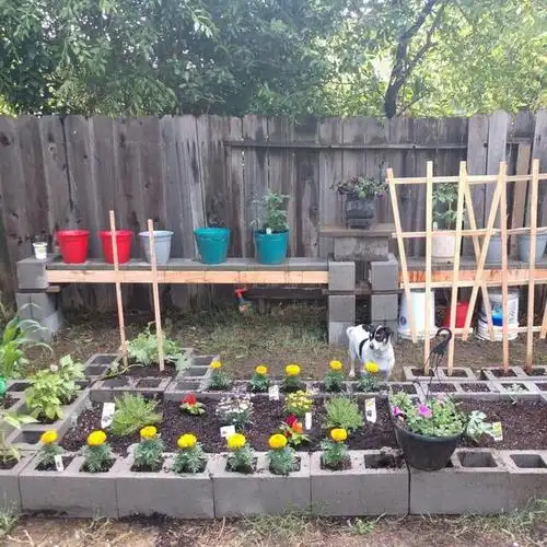 以及每块空心砖的孔洞中,这也是空心砖种菜和普通砖块堆砌菜园种菜