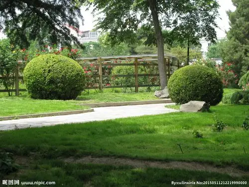 绿化景观摄影图__园林建筑_建筑园林_摄影图库_昵图网nipic.com