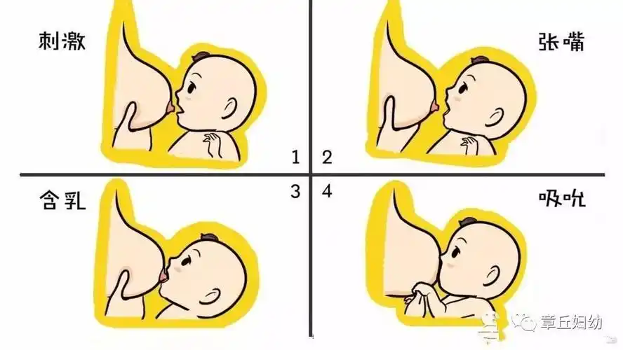 妇幼健康大讲堂母乳喂养的正确含接姿势