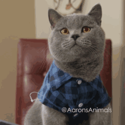 不要慌!"税率跳档"了解一下