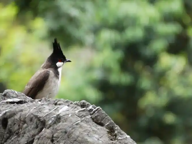 漂亮啊 - 摄影师森浩alex - 图虫
