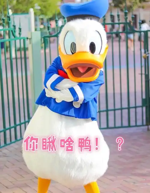 你瞅啥鸭唐老鸭表情包第二弹唐老鸭表情
