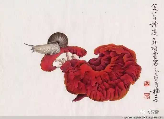 著名画家梅若先生画灵芝蘑菇