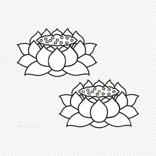 黑色 莲花漂亮荷花怎么画 荷花简笔画的画法图片荷花的简笔画古风手