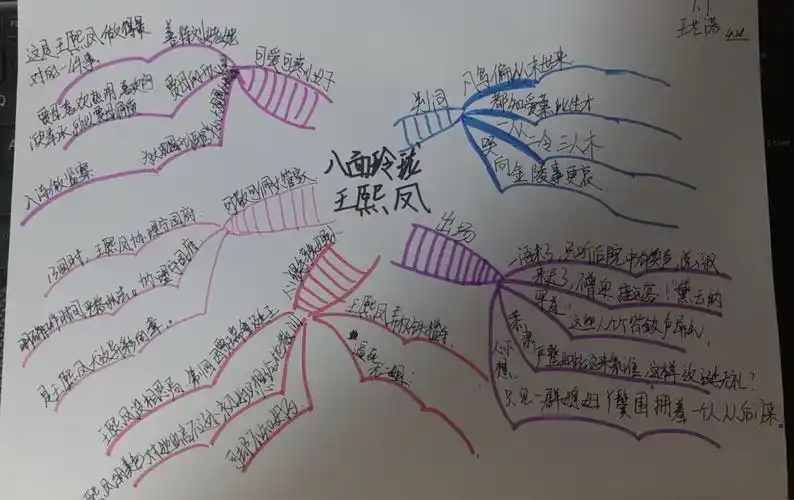 青春红楼社团活动之七:同学们眼中的王熙凤