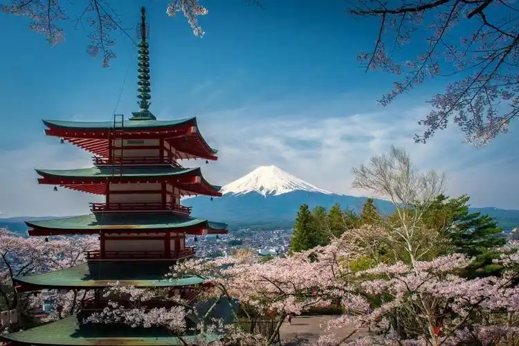 日本旅行唯美樱花风景摄影图片