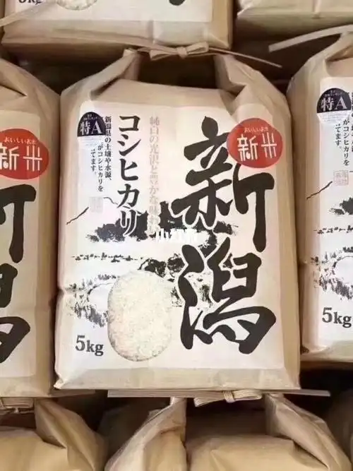 日本新泻大米