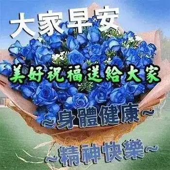 朋友圈清晨问候大家早上好阳光暖心句子 最漂亮早上好美图表情