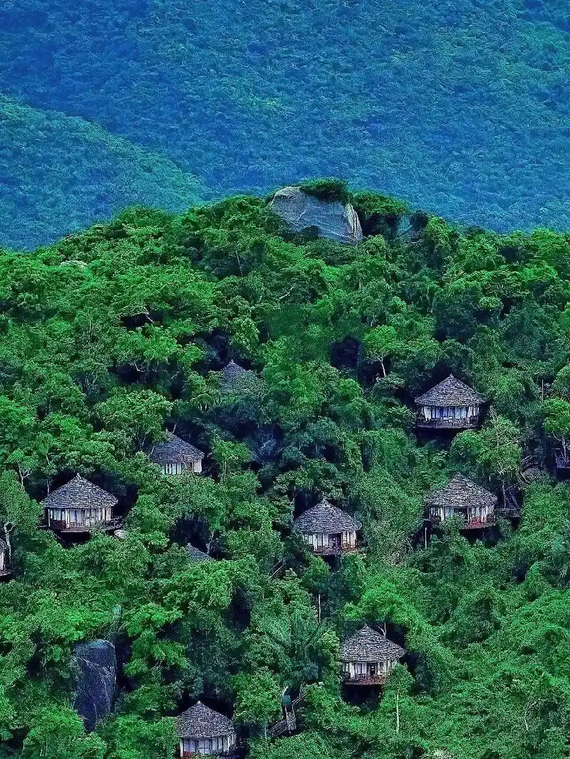 艾特你最有实力的朋友带你去三亚鸟巢度假村.