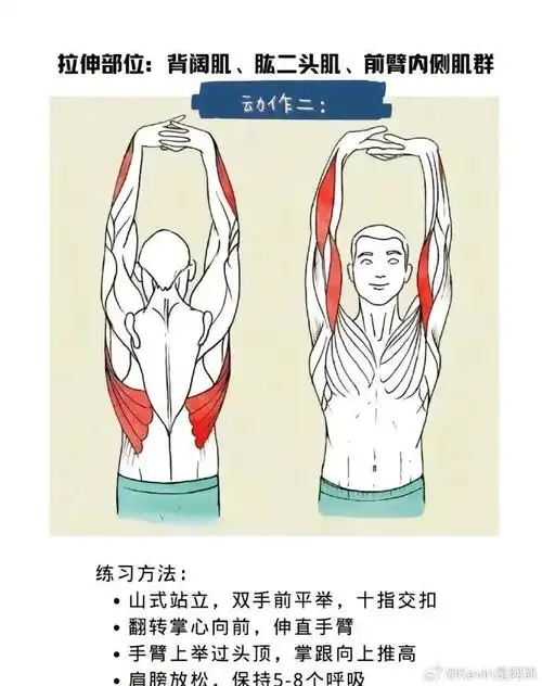 八个健身后拉伸动作运动以后适当的拉伸可以帮助我们放松肌肉缓解练习