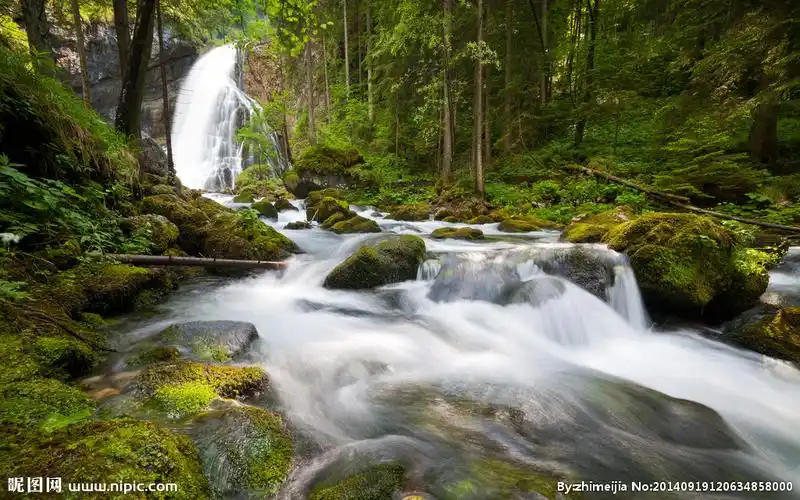 树木瀑布摄影图__山水风景_自然景观_摄影图库_昵图网nipic.com