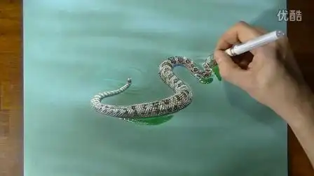 【藤缠楼】意大利立体画家手绘水面上的响尾蛇3d画 [marcello
