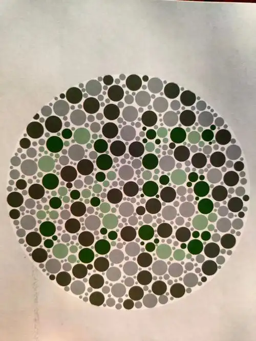 2020年最近驾考体检专用色盲检测图_新闻资讯_行车人中营驾校