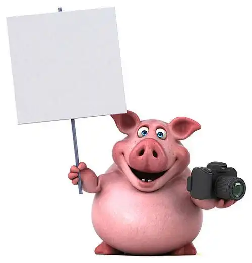 猪,拿着,卡,照相机,有趣,插画_高清图片_全景视觉