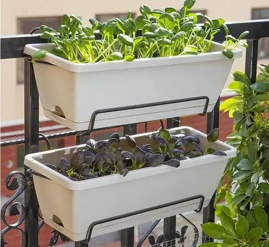 家里阳台种菜专用盆推荐:阳台种菜用什么容器好?