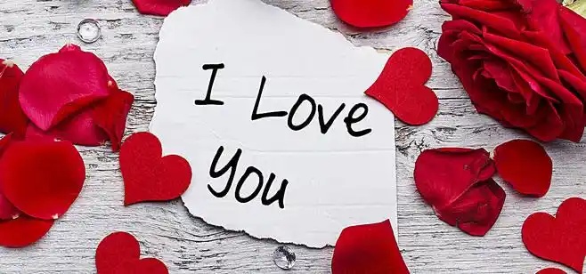 情人节玫瑰花浪漫love爱情海报banner梦幻图库png图片网图片素材背景