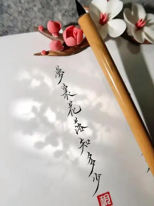 小楷今日份手写梦里花落知多少