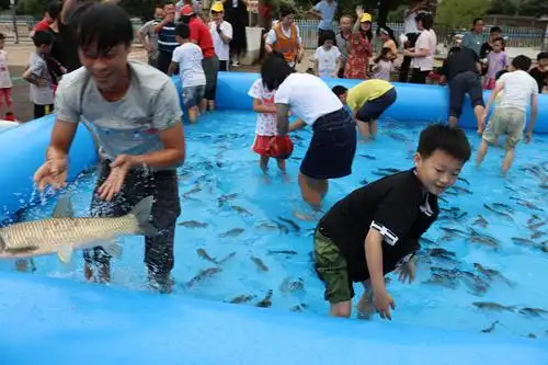 【进贤优启学校·鱼你有约】徒手抓鱼乐翻天,亲子搭配,万斤大鱼抓回家