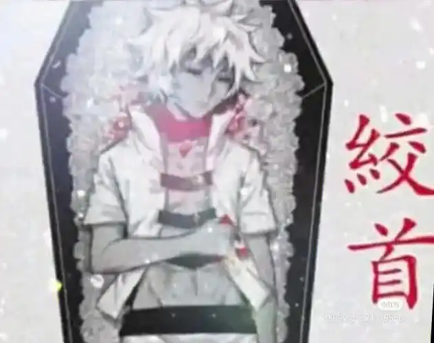 玫瑰棺材一凹凸世界