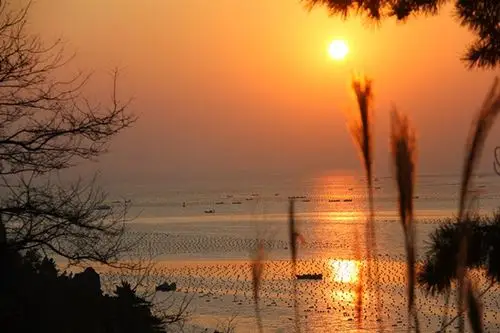 天鹅村的日出日落