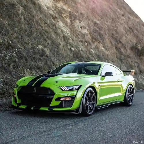 狂躁野马福特shelbygt500