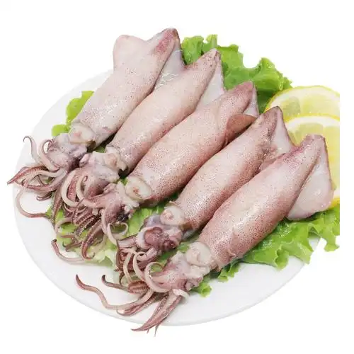 海鲜 冻品 小鱿鱼 膏鱿 笔管鱼 美国小海兔 含籽率40~50% 20斤/件