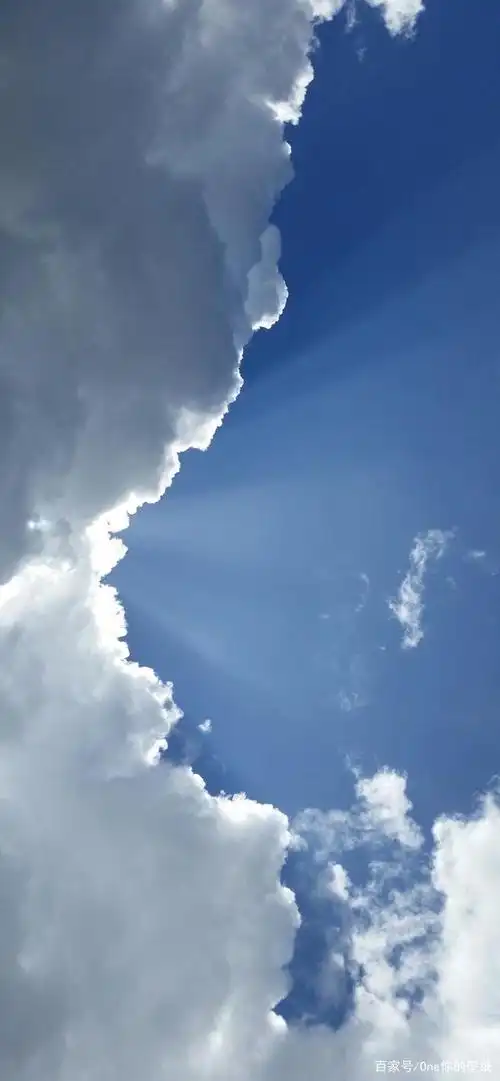 第46期,iphone11网红壁纸