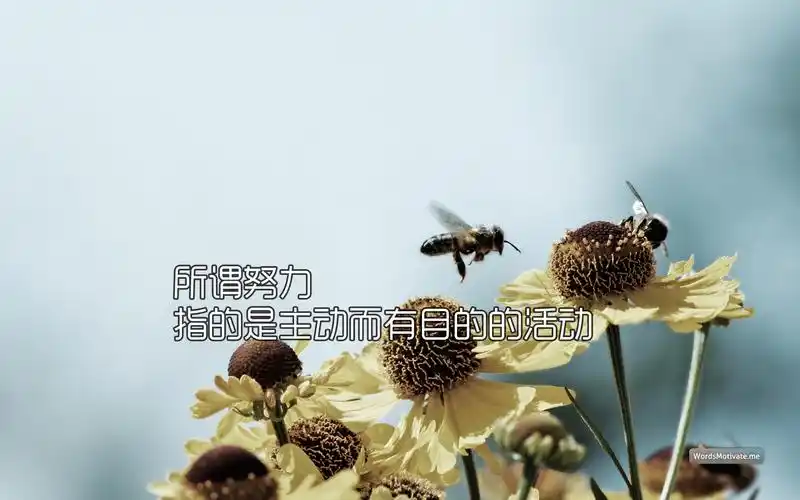 西南财经大学金融考研