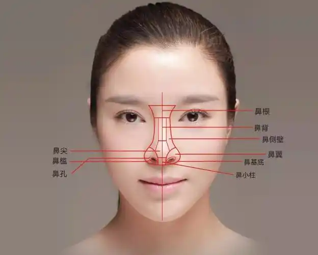 中度,重度鼻基底凹陷怎么办?