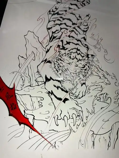 原创新传统老虎花臂手稿