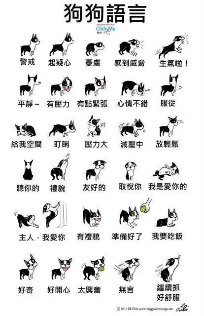 猫 肢体语言的搜索结果_百度图片搜索