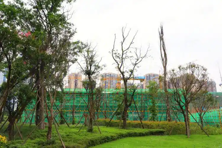 成都中洲锦城湖岸二期-实景图(6) - 成都安居客