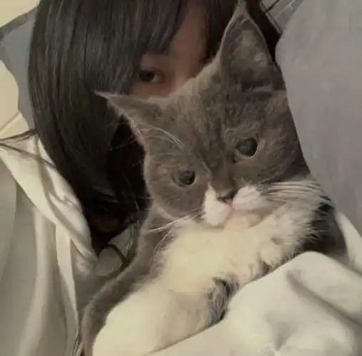 关注  头像 女头 女生头像 评论 收藏