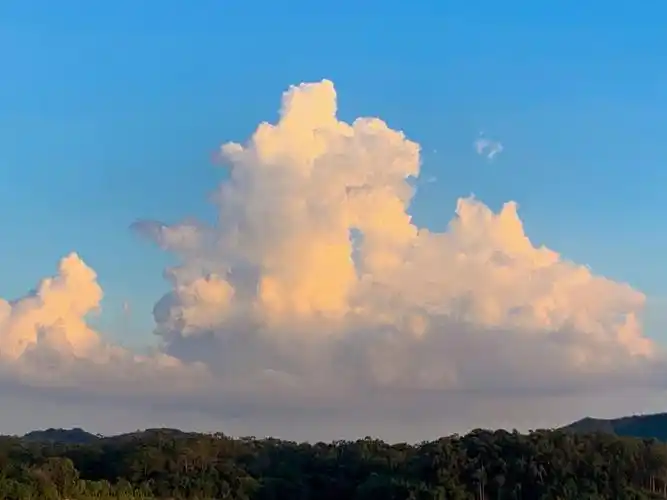 今天的云有亿点好看nie