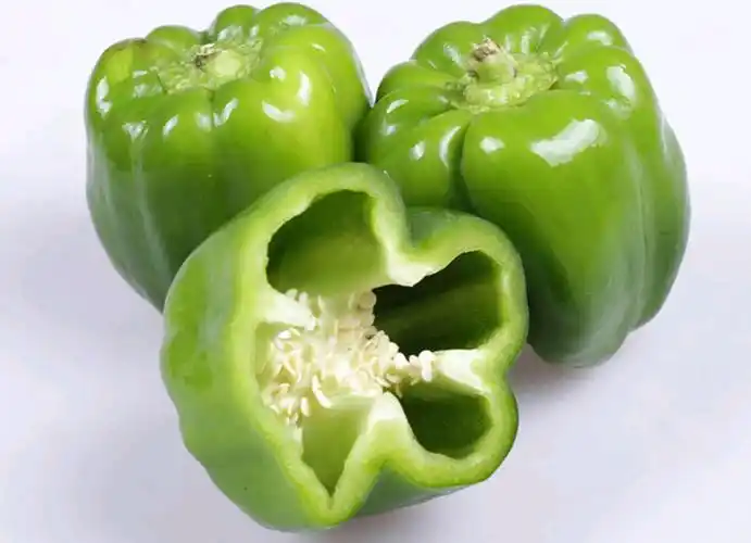 青圆椒4斤辣椒菜椒灯笼椒新鲜蔬菜产发qq