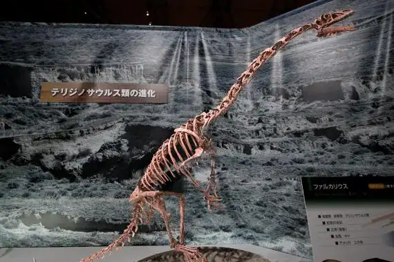 铸镰龙的化石发现