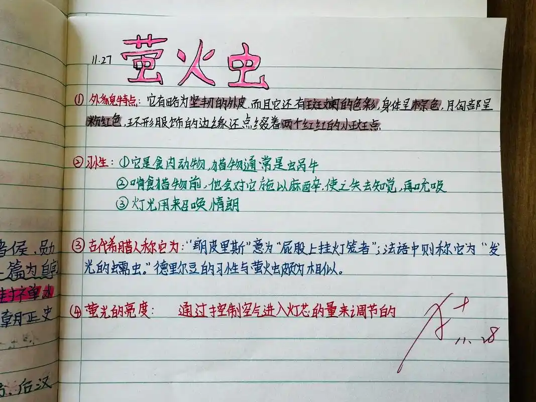《昆虫记》之萤火虫.今日字型辨析:萤,莹,荧 ##书单 #校 - 抖音